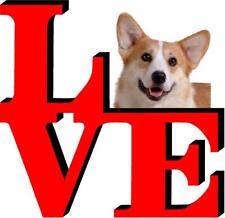 Pembroke welsh corgi for sale  Pottstown