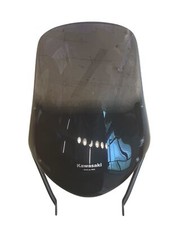 Cupolino versys 650 usato  Torino