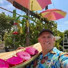 Self pollinated dragon for sale  Thousand Oaks