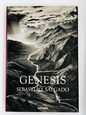 salgado genesis usato salgado genesis usato Livorno