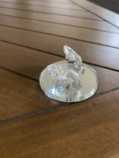 Swarovski crystal clam for sale  OAKHAM