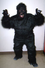 Expert wild gorilla for sale  USA
