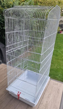 White budgie bird for sale  ORPINGTON