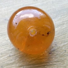 insects amber for sale insects amber for sale WITNEY