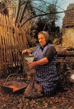 Perigord gaveuse goie d'occasion  Expédié en Belgium