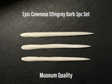 Cownose stingray barb for sale  Corpus Christi