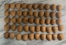 Walnut shell halves for sale  Livingston