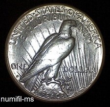 U.s.a. one dollar usato  Perugia
