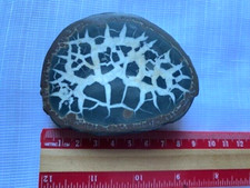 Large septarian rock for sale  BLACKBURN