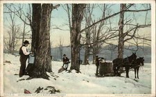 Maple sugar camp for sale  USA
