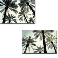 Palm one two for sale  Escondido