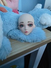 Fairyland minifee lami for sale Fairyland minifee lami for sale  STAFFORD