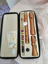 Tenor blockflöte mollenhauer gebraucht kaufen  Deutschland