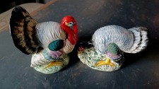 turkey hen tom for sale turkey hen tom for sale Rantoul