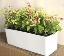 Self watering plant for sale  BOLTON