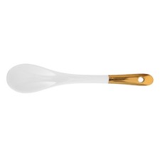 Cucchiaio porcellana cucchiain usato Cucchiaio porcellana cucchiain usato  Spedire a Italy