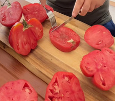 Tomatensamen fleischtomaten ra gebraucht kaufen  Gnarrenburg