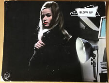 Blow antonioni veruschka gebraucht kaufen  Hüffenhardt