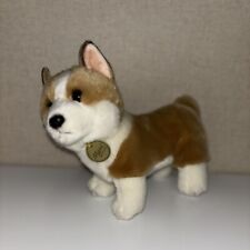 pembroke welsh corgi for sale  Rome