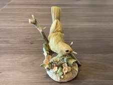Teviotdale chiff chaff for sale Teviotdale chiff chaff for sale  YEOVIL