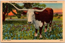 Postcard texas long for sale  Buffalo Grove