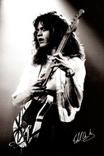 EDDIE VAN HALEN PÔSTER 24X36 ÍCONE LENDA GUITARRA GRANDE GOAT ROCK MÚSICA FENDER DIVERSÃO, usado comprar usado  Enviando para Brazil