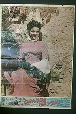 Grande gaucho fotobusta usato  Torino