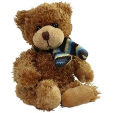 Teddy buntem schal gebraucht kaufen  Neusäß