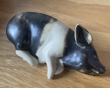 Saddleback pig yorkshire for sale  BANCHORY