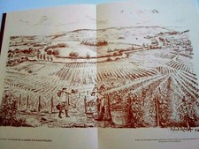Roland irolla vignoble d'occasion  Nice-