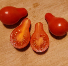 Tomate sibirisches birnchen gebraucht kaufen  Gardelegen