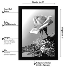 Moldura para foto pôster AmericanFlat 12x18 madeira projetada preta e plexiglass polido comprar usado  Enviando para Brazil