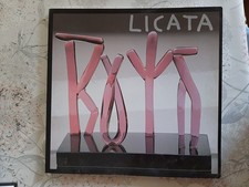 Riccardo licata usato  Villorba