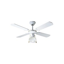 ventilatori perenz usato ventilatori perenz usato Volpago del Montello