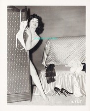 photographic screen for sale photographic screen for sale Lockport