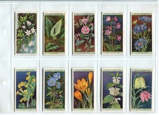 Wild flowers 1923 for sale  SWINDON