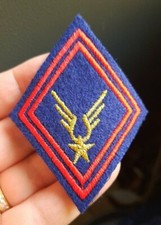N13d écusson insigne d'occasion  Folschviller
