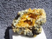 Wulfenit sonora xx gebraucht kaufen  Hildesheim