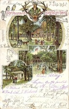Litho vockerode ranienbaum gebraucht kaufen  Berlin
