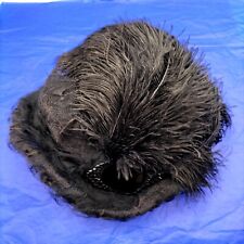 Victorian ostrich feather for sale  ALFRETON