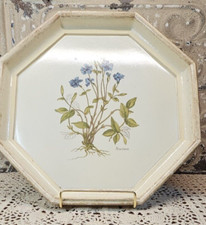 Vintage wooden florentine for sale  Milliken
