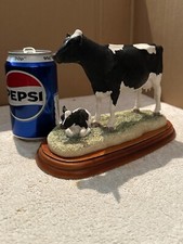 cow calf for sale  NORTHWICH
