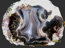 Achat topp stb gebraucht kaufen  Nienburg