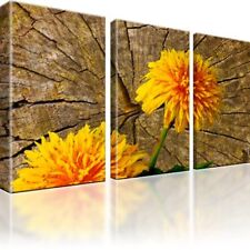 Pusteblume blume bilder gebraucht kaufen  Deutschland