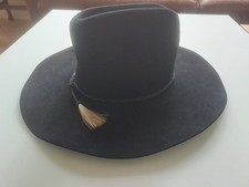 Riginal stetson cowboyhut gebraucht kaufen  Adendorf