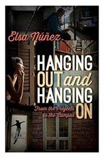 Hanging hanging projects for sale  Philadelphia