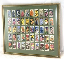 Wills cigarette cards for sale  PLYMOUTH