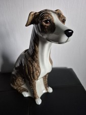 Large brindle greyhound for sale  ROSSENDALE