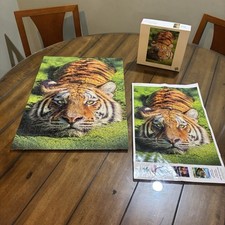 Buffalo games 500 for sale  Alpharetta