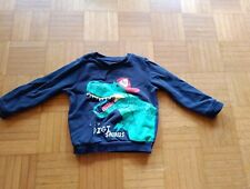 Pullover digisaurus gebraucht kaufen  Bielefeld